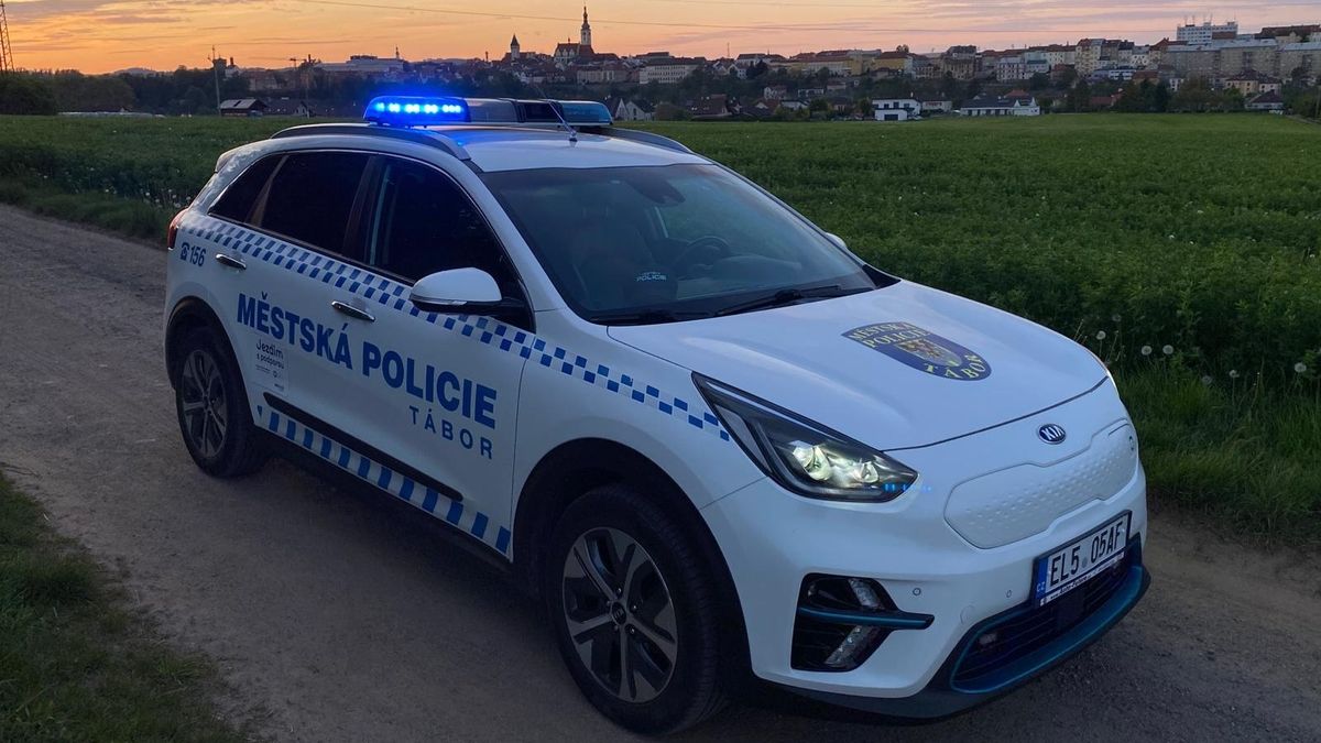 Po Táboře pobíhaly dvě feny staforda. Jednu řidička srazila, druhou odchytila